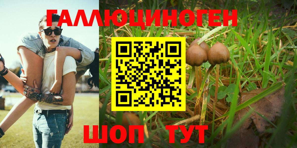 наркотики  Аша  Псилоцибиновые грибы GOLDEN TEACHER 